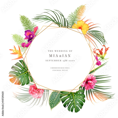 Tropical greenery frame with exotic palm leaves, bright hot pink exotic flowers, colorful floral, monstera