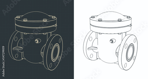 Swing check valve