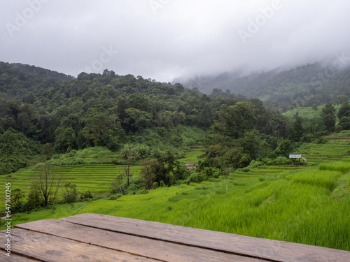 scenery of green rice terrace with wooden floor, Chaingmai, Thailand