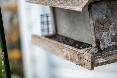 Filling a wooden weathered bird feeder with sunflower seeds. 