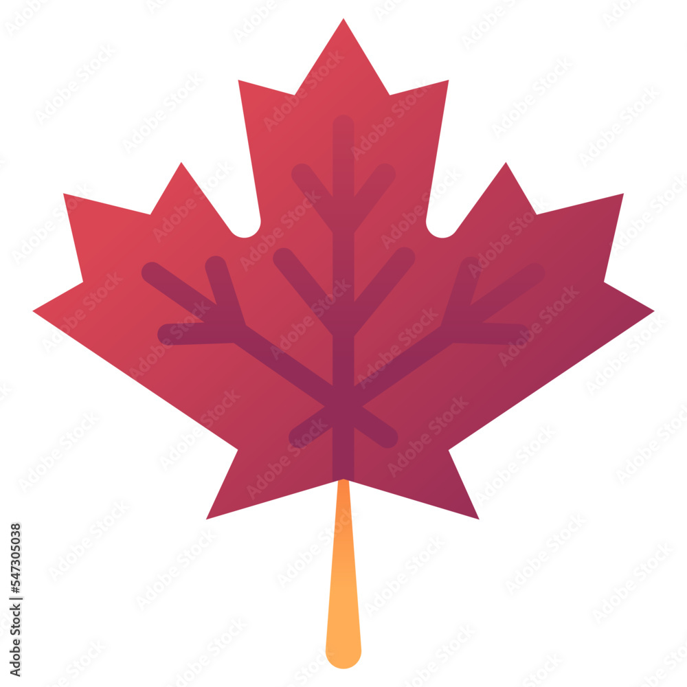 maple leaf illustration maple leaf illustration