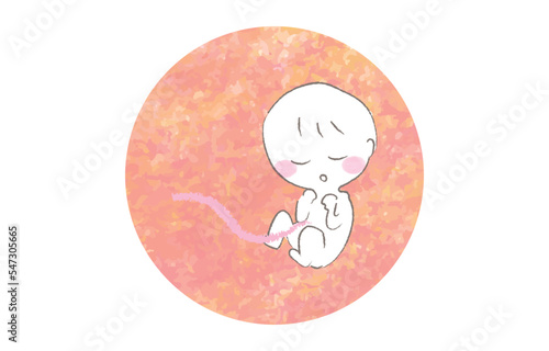 お腹の中で育つ赤ちゃん　胎児 未熟児　ピンク色
