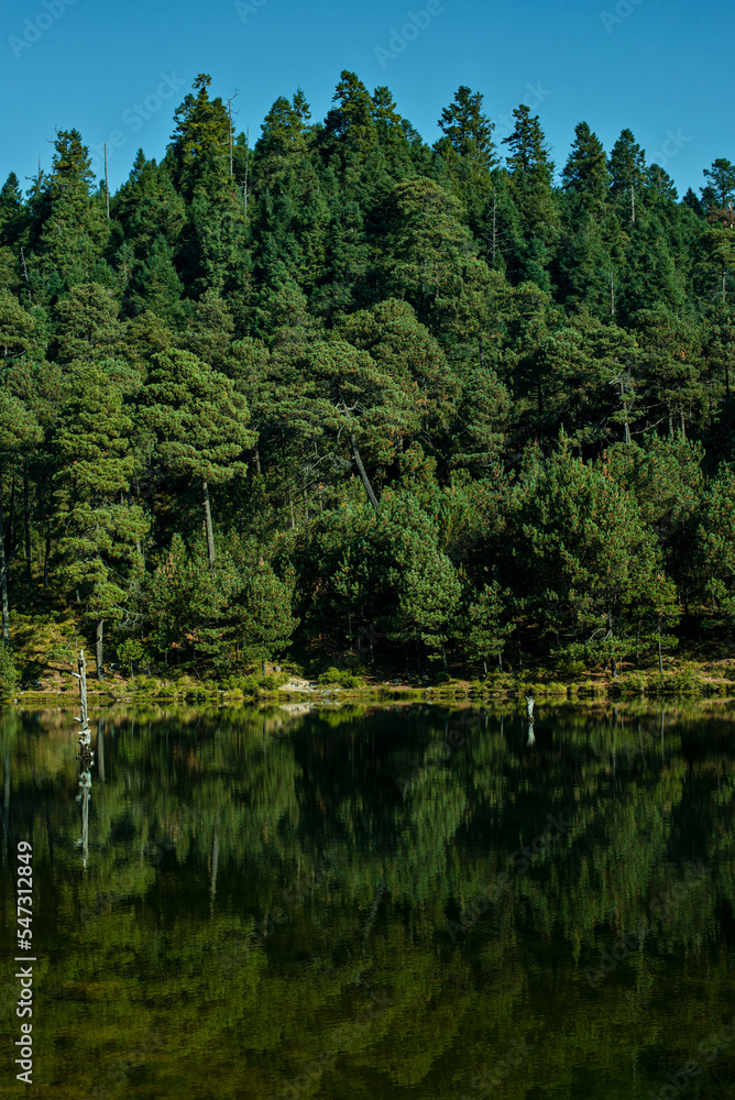 lake in the forest in Iturbide dam lake in the forest in Iturbide dam