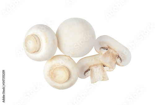 Champignon Mushroom isolated on transparent png