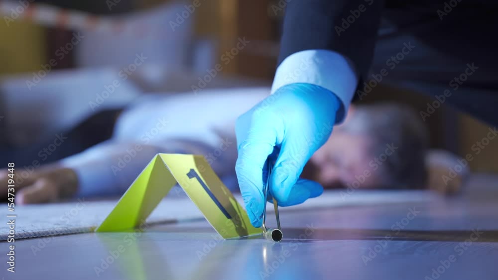 Robber Search Police specialists working at the crime scene at home, homicide ...