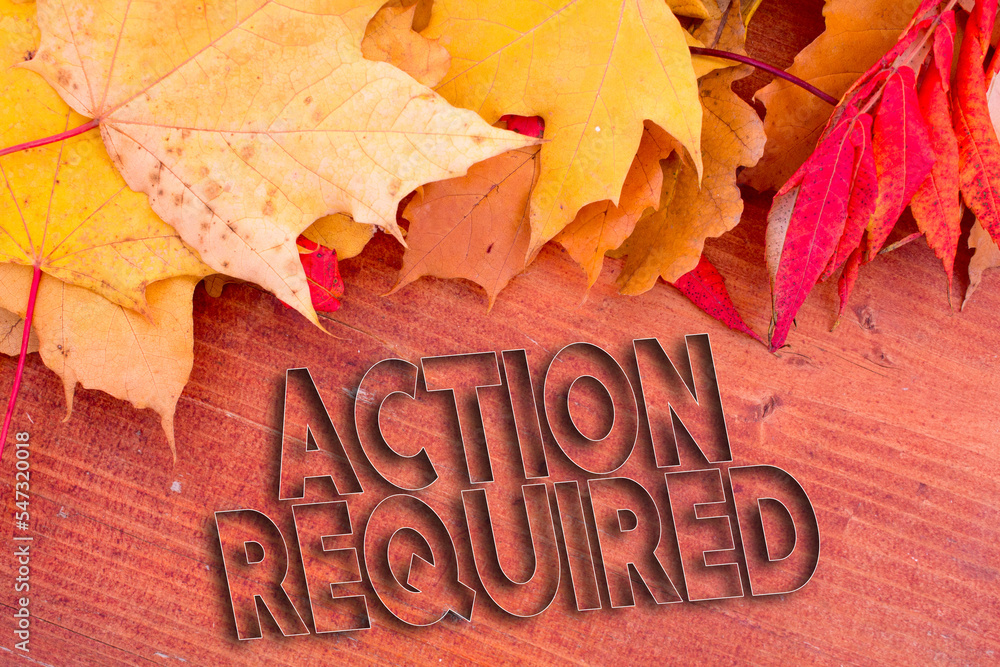 Autumn leaves, objects with Action Required text. Natural patterns, color design.
