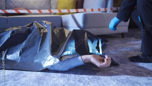 Detective looking at body bag at crime scene. Forensic investigation.
Murder investigation. The detective is looking at the body bag.

