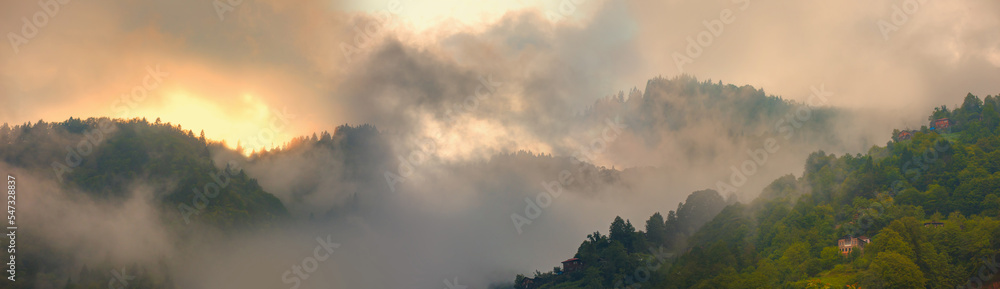 Fog covering on the mountain forest at sunset - Rize, Turkey Fog covering on the mountain forest at sunset - Rize, Turkey