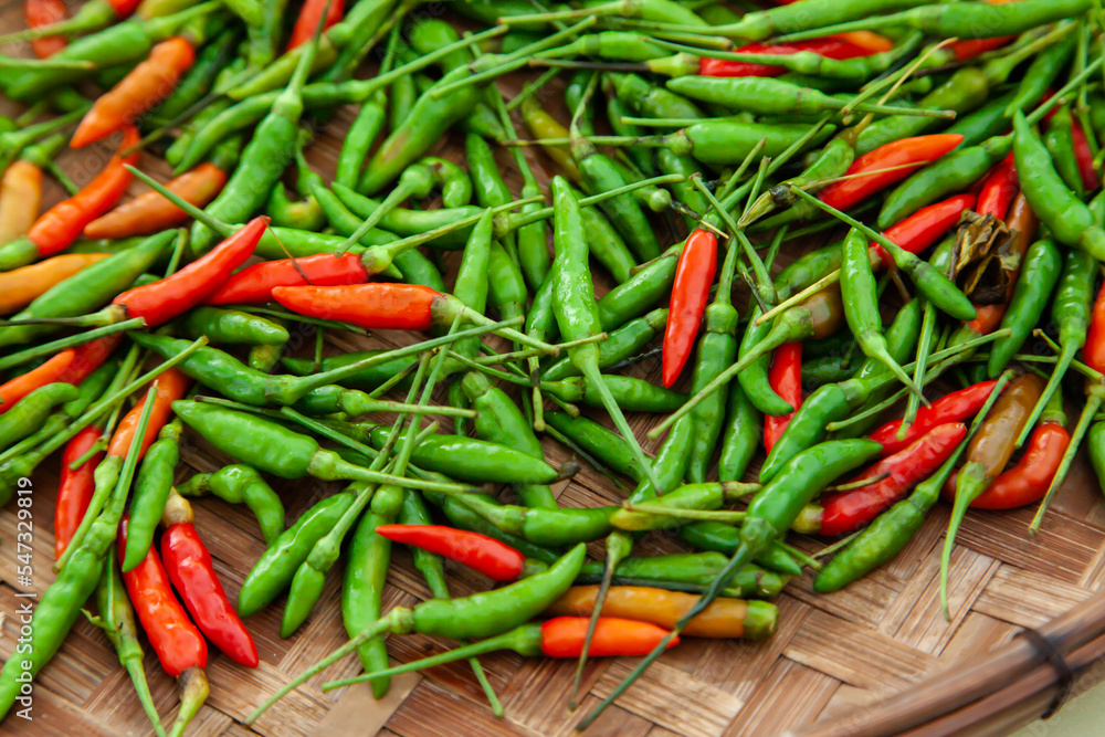 Fresh red chilli pepper for background Fresh red chilli pepper for background