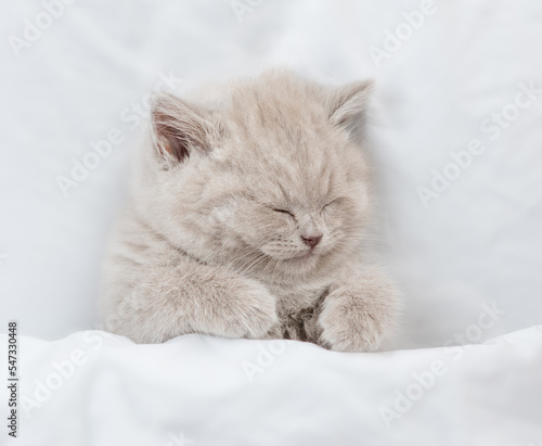 Cozy kitten sleeps under blanket on a bed at home. Top down view