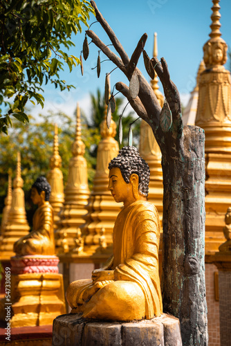 Buddha Under Bohi Tree, Kampong Cham, Cambodia photo