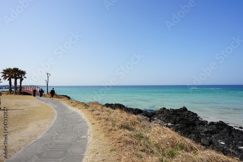 seaside view with walkway 