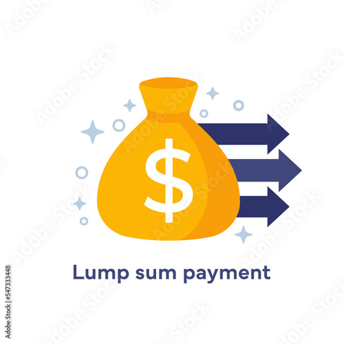 Lump sum payment icon with a money bag, vector