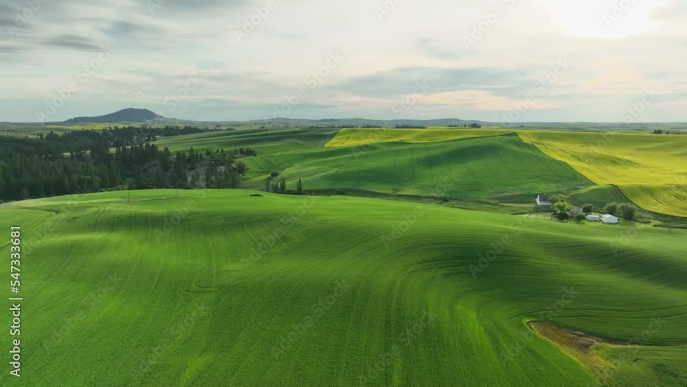 Drone view of the agricultural fields in the countryside Drone view of the agricultural fields in the countryside