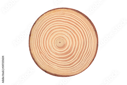 The modern wooden scene for show products, Stump, Cross section of tree trunk showing growth rings, for display products perfume, jewelry, and cosmetic products isolated on transparent background