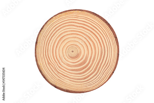 Wallpaper Mural The modern wooden scene for show products, Stump, Cross section of tree trunk showing growth rings, for display products perfume, jewelry, and cosmetic products isolated on transparent background Torontodigital.ca