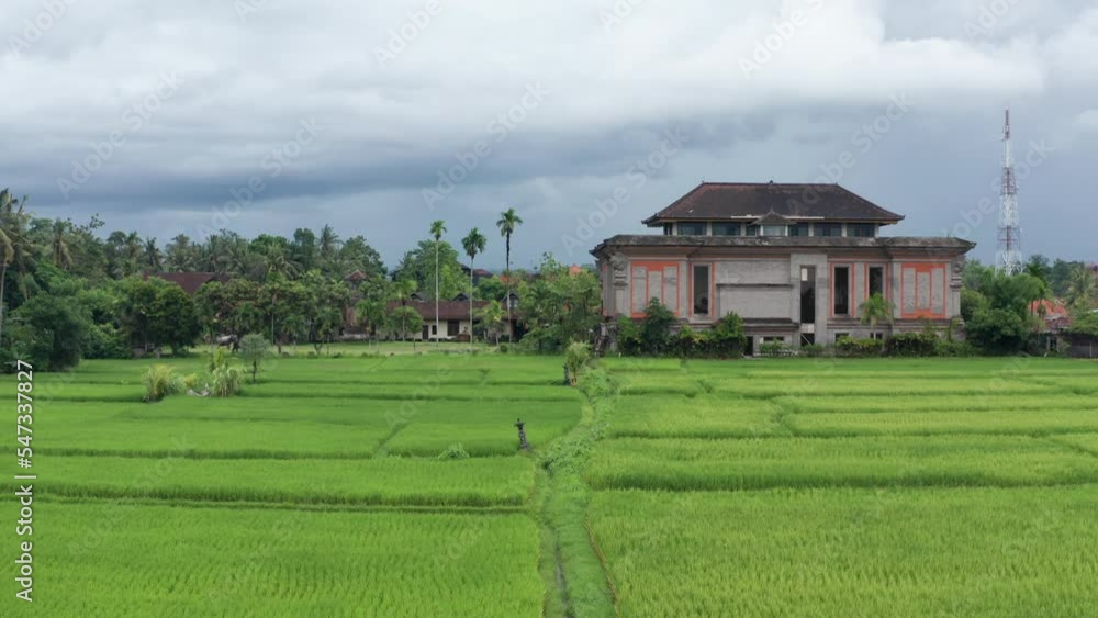 Aerial shot of a rice field in Ubud, Indonesia Aerial shot of a rice field in Ubud, Indonesia