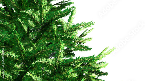christmas tree branches Isolated on PNGs transparent background 