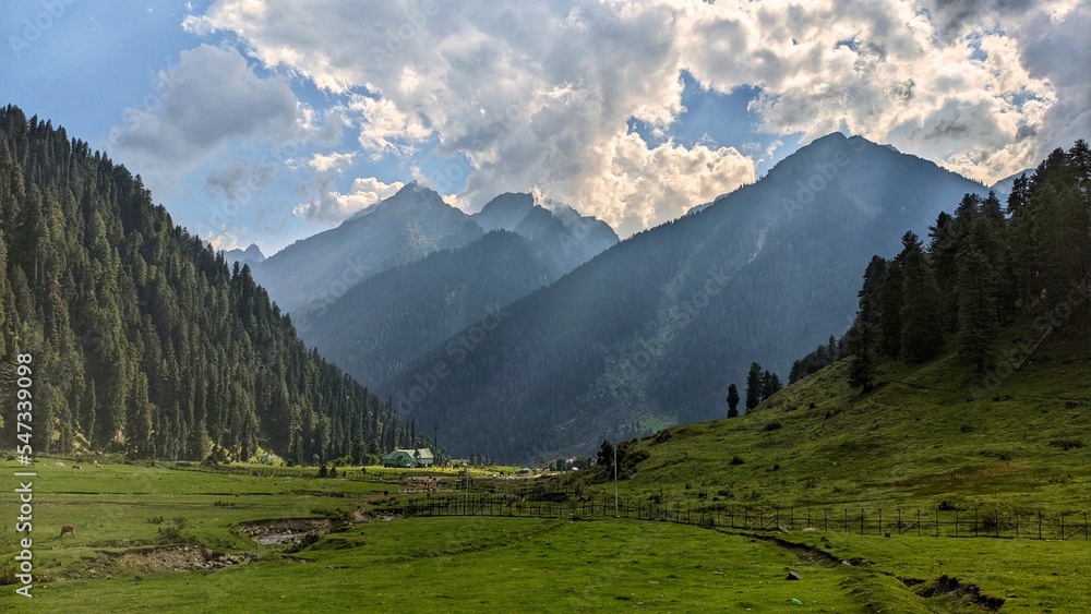 Beautiful hilltop meadows of Kashmir. 