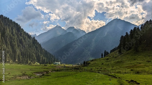 Beautiful hilltop meadows of Kashmir. 