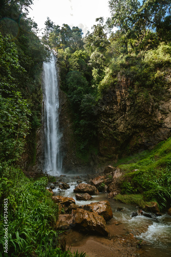Waterfall surrounded by green forest, virgin nature