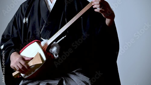 三味線」の写真素材 | 3,025件の無料イラスト画像 | Adobe Stock