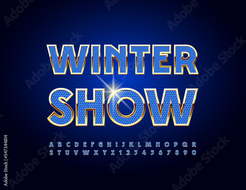 Vector artistic banner Winter Show. Blue and White chic Font. Modern creative Alphabet Letters and Numbers set