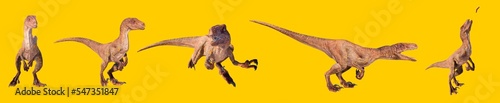 set of dinosaurs velociraptor. velociraptor dinosaur roaring on a blank background