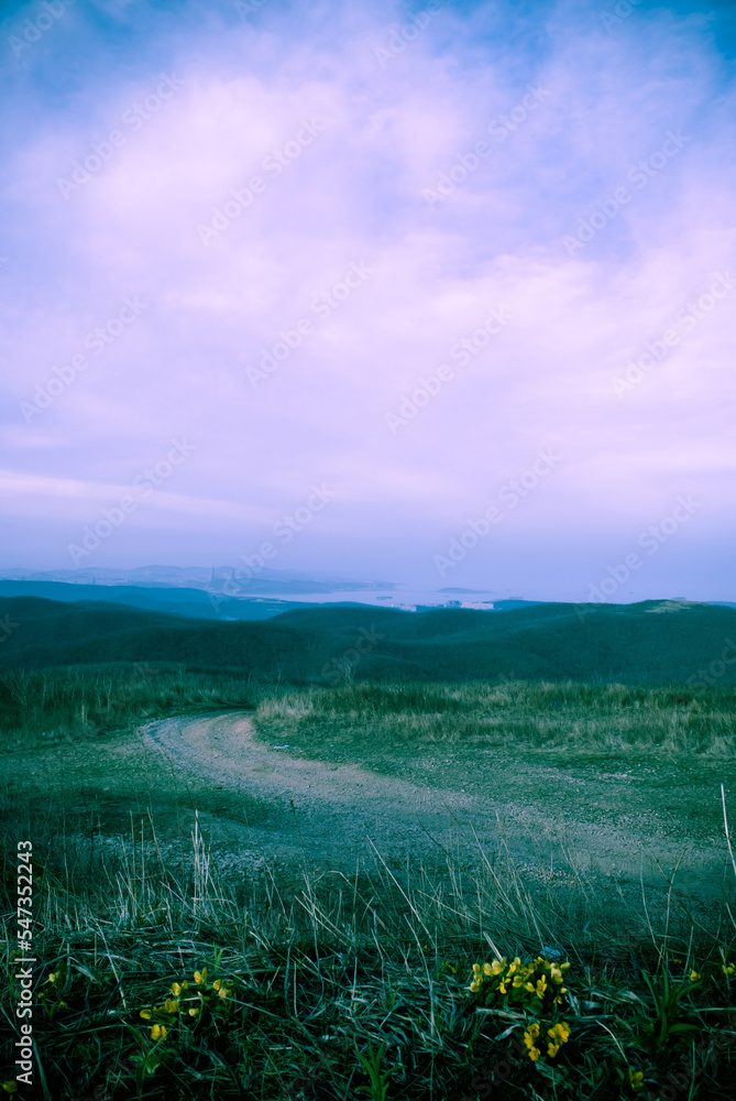 Fototapeta premium field and blue sky