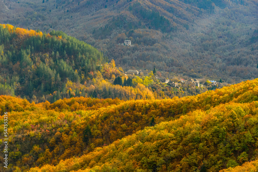 Street view of the forest near kapesovo, with fall colors and kipoi village as background  in Zagori.,  Tymfi mountain, Epirus, Greece.