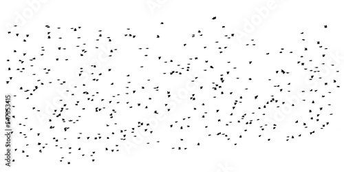 large flock of birds on a white background.
