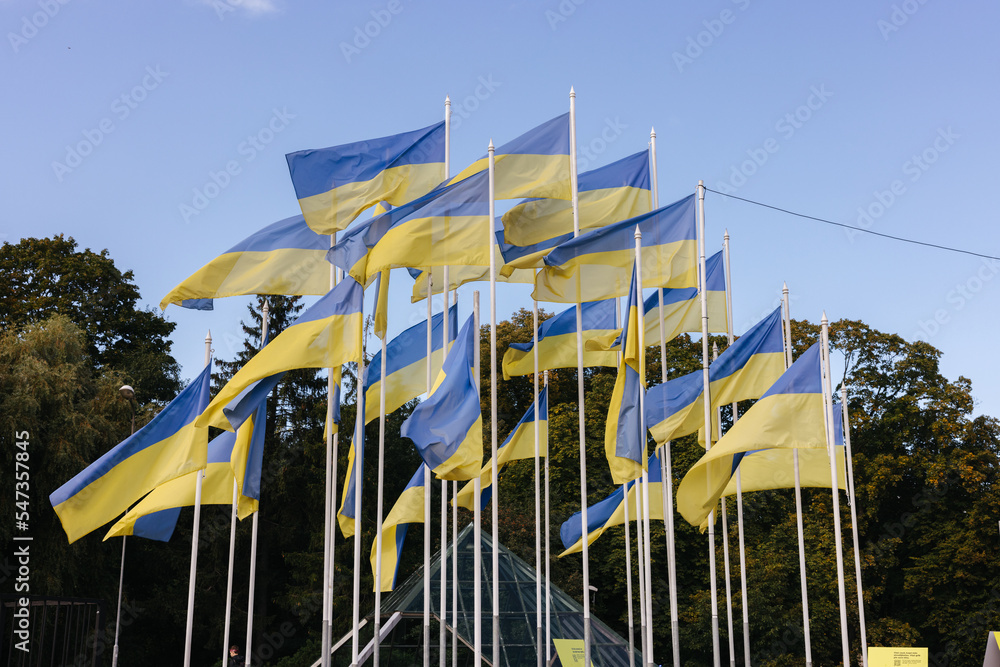 Ukrainian flags waving in front of the sky