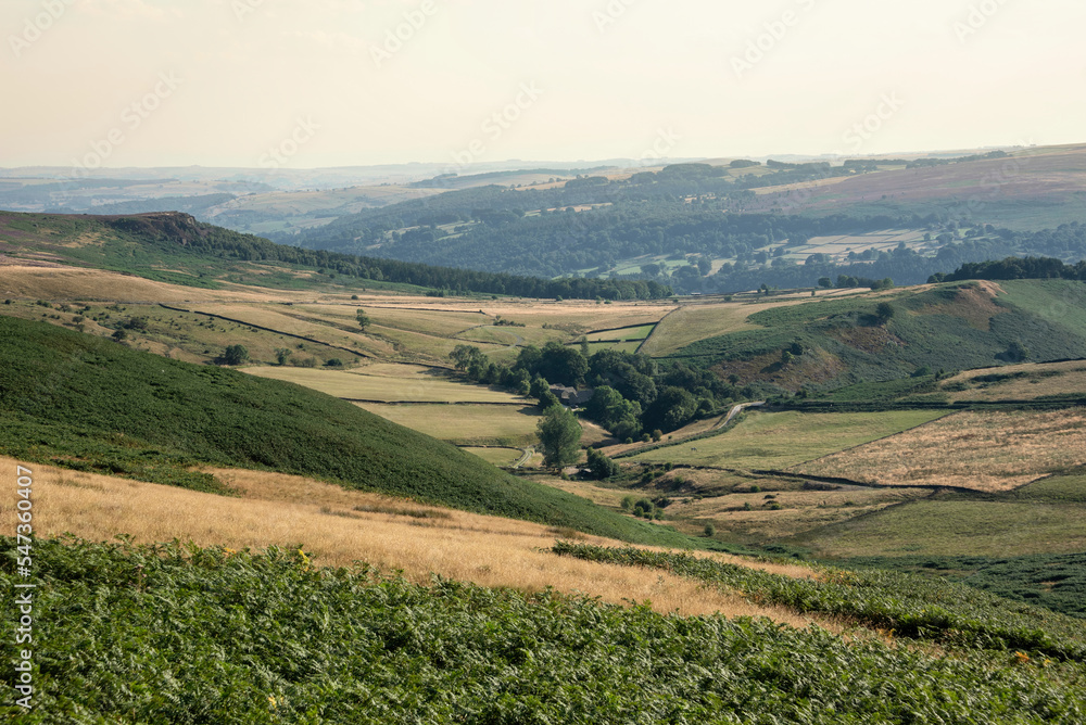 Fototapeta premium Stunning landscape image looking into lush green valley of farm fields in Peak District in late Summer