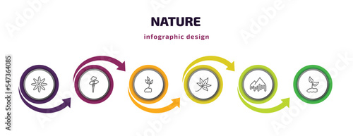 nature infographic template with icons and 6 step or option. nature icons such as petals, quaking aspen tree, cultivation, autumn leaves, melting, grows vector. can be used for banner, info graph,