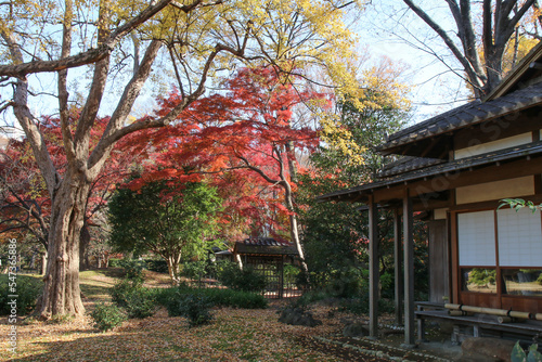 秋の六義園。日本家屋と紅葉の庭。