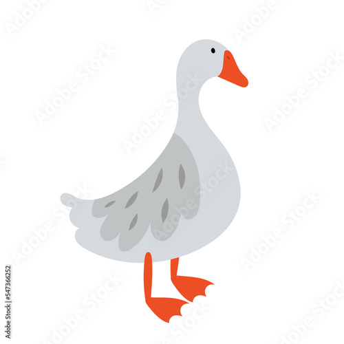 Farm gray goose. Vector illustration of a gray goose.