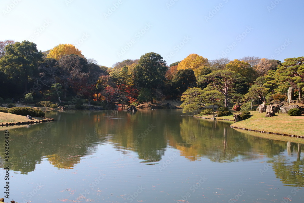 秋の六義園。池と森のある日本庭園。