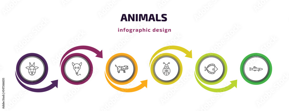 animals infographic template with icons and 6 step or option. animals icons such as goat, ant eater, cow, ladybug, flounder, pike vector. can be used for banner, info graph, web, presentations. animals infographic template with icons and 6 step or option. animals icons such as goat, ant eater, cow, ladybug, flounder, pike vector. can be used for banner, info graph, web, presentations.