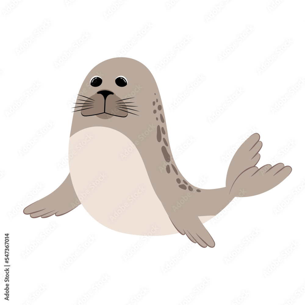 Ocean animal on a white background. Cute seal in flat style. Ocean animal on a white background. Cute seal in flat style.