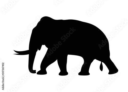 Walking big elephant strong power with outline black. vector illustration.