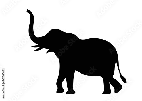 Black elephant silhouette. Vector shadow. Black elephant art illustration silhouette on a white background © SIRAPOB
