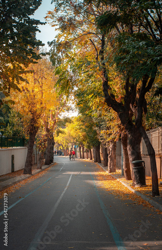 autumn in the city