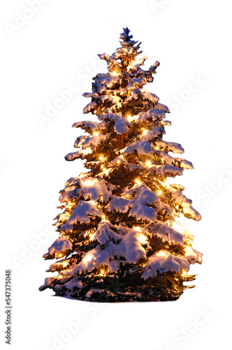 candlelights are burning at Christmas tree photo