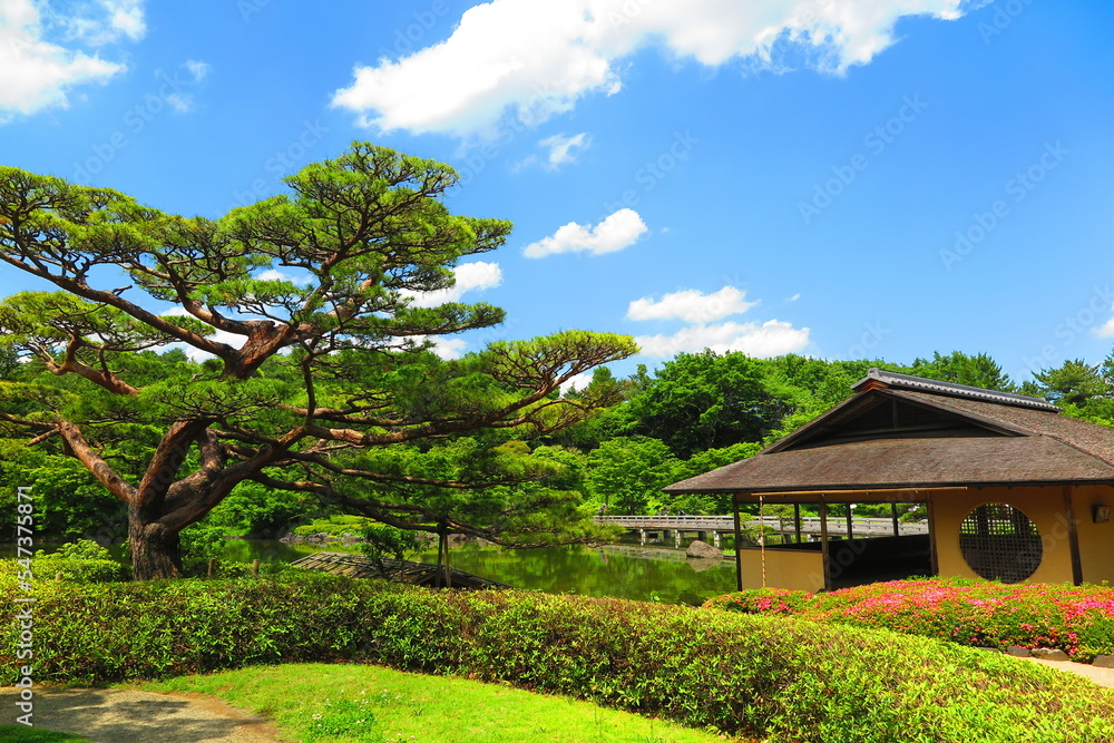昭和記念公園内の日本庭園の池と木々と躑躅と松の風景7 昭和記念公園内の日本庭園の池と木々と躑躅と松の風景7