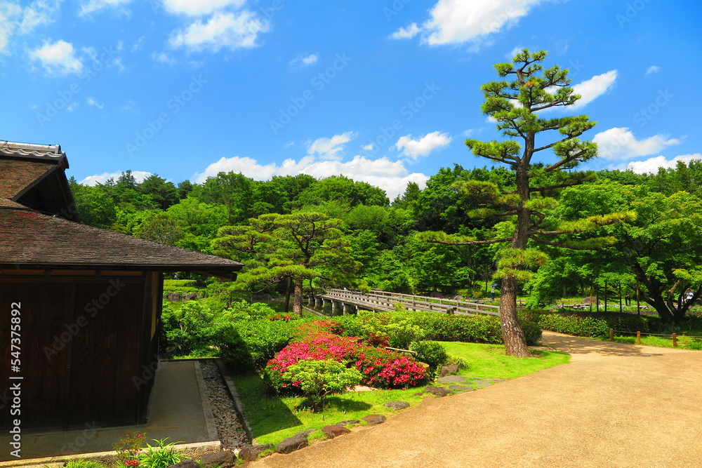 昭和記念公園内の日本庭園の池と木々と躑躅と松の風景5
