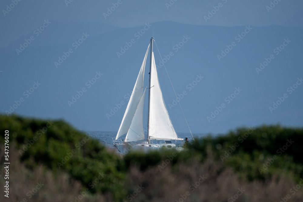 vela