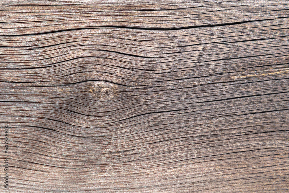 Fototapeta premium Dark wooden background texture. Old fence panels with natural patterns.