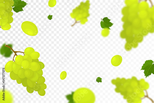 Falling juicy ripe grape with green leaves isolated on transparent background. Flying bunches of grapes with defocused blur effect. Can be used for wallpaper, banner, poster, print. Vector flat design