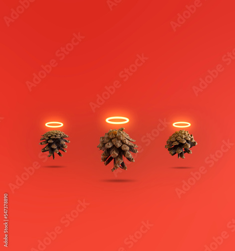 Obraz na plátně Levitating pinecones with halo brightly shining above them