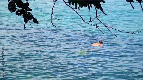 A man free floating on the sea while snorkeling and framed by the silhouettes of overhanging branches in Koh Sdach Island in Cambodia photo